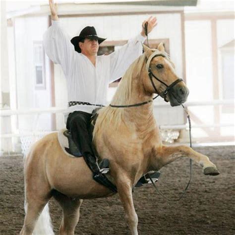 Are horse walkers good for horses? - DIY Seattle