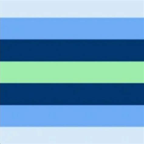 Boyflux pride | Pride flags, Gender flags, Lgbtq flags