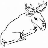 Printable Moose Coloring Page  Download Print Or Color Online For Free sketch template