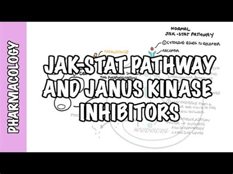 Learn JAK Janus Kinase Pathway Inhibitor Tofacitinib pharmacology mechanism of action side ...