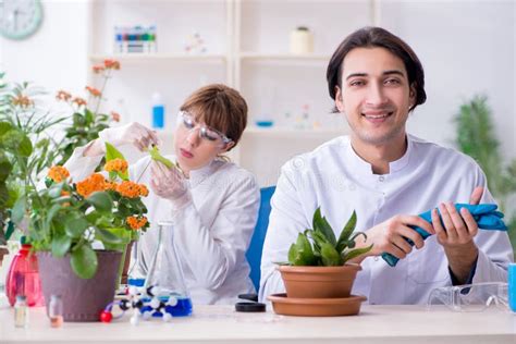 Two Young Botanist Working in the Lab Stock Image - Image of ...