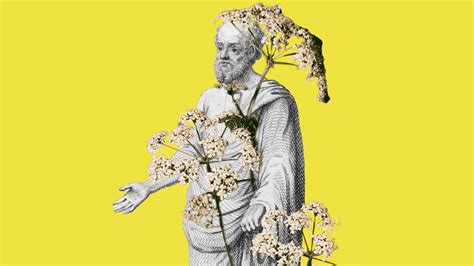 Everyday Philosophy: The death of Socrates - The New European