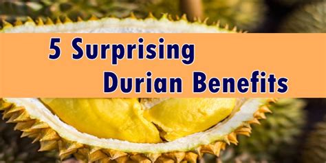 DURIAN BENEFITS - 5 Surprising Health Benefits Of Durian Fruit