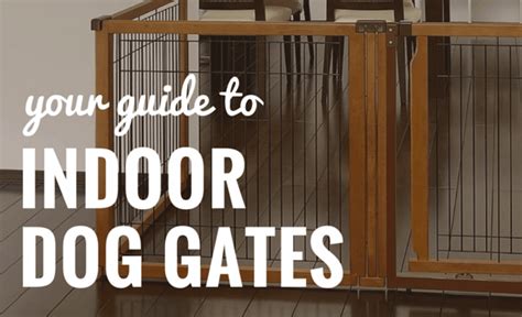 7 Best Indoor Dog Gates [2022 Reviews]: Top Dog Gates For Home!