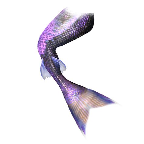 Mermaid Tail Computer file - Pretty purple mermaid tail png download - 2000*2000 - Free ...