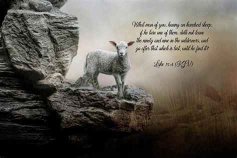 Lost Lamb Digital Art by TnBackroadsPhotos - Pixels