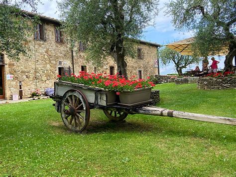 Tuscany & Siena | My Site 4