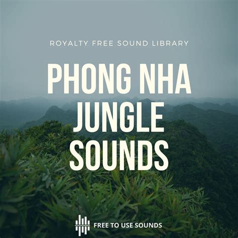 Nature Sounds | Rainforest Sounds Phong Nha National Park Vietnam ...