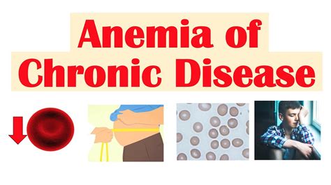 Anemia Of Chronic Disease