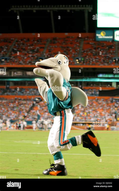 Miami dolphins mascot hi-res stock photography and images - Alamy