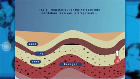 Oil formation — Science Learning Hub