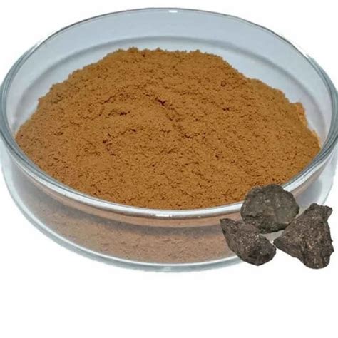 Shilajit Extract Powder, Shilajeet, Packaging Size: 25kg at Rs 1400/kg ...