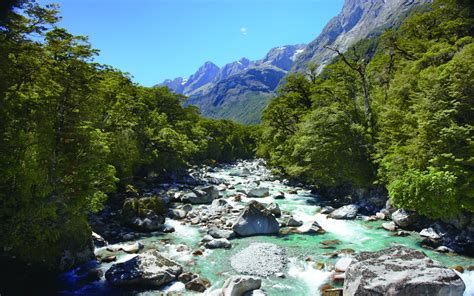 Hollyford River Upper Tech New Zealand : Wallpapers13.com