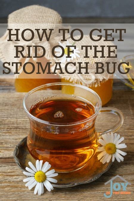 How to Get Rid of the Stomach Bug | The Joyfilled Mom | Natural healing remedies, Cold home ...