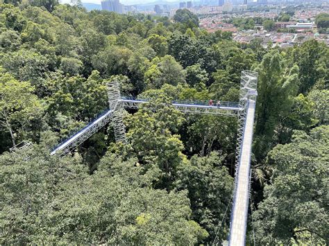 FOREST SKYWALK (JEJANTAS RIMBA) FRIM KEPONG LOKASI WAJIB KUNJUNG DI SELANGOR