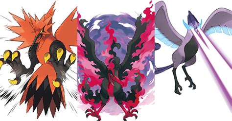 Pokemon Players Will Have To Hunt The Legendary Birds In The Crown Tundra