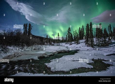 Northern lights above Fish Lake, Whitehorse, Yukon, Canada Stock Photo ...