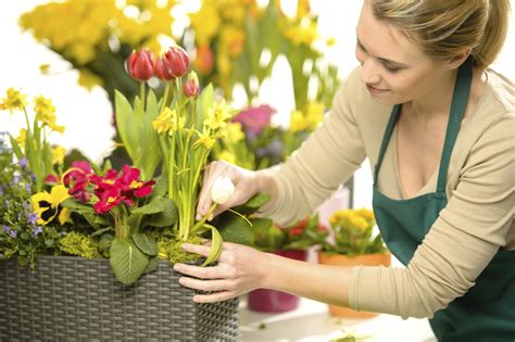 Being a Florist in Germany - Tech You Need to Succeed in 2024 - Jaxtr