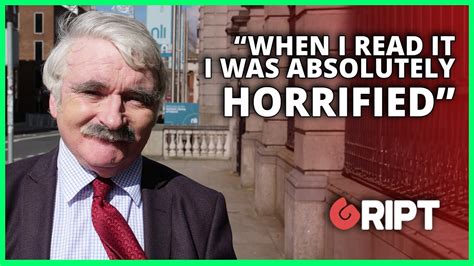 “Horrified” Fianna Fáil TD Regrets Voting for Hate Speech Bill | The Irish Channel - The Best of ...