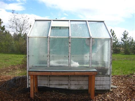 Greenhouse gardening: insulation and self-watering system - Susan's in the Garden