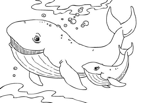 Free Printable Coloring Page Of A Whale