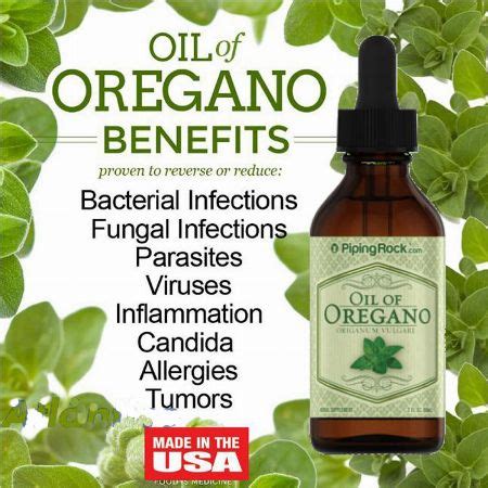 Oil Of Oregano Liquid Extract. 2 Fl Oz (59ml) 352 Servings Oregano Oil [ Natural & Herbal ...