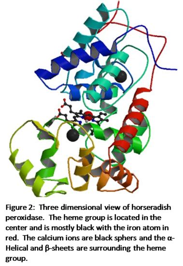 Horseradish Peroxidase - Chemistry LibreTexts