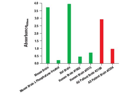 PathScan p-tau ELISA Kit (Thr217) | Cell Signaling Technology