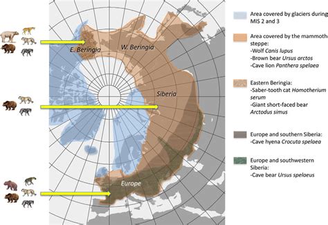 Mammoth steppe - Alchetron, The Free Social Encyclopedia