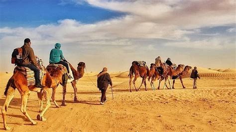 Your Ultimate Guide To The Desert in Tunisia - The Sahara You want To ...