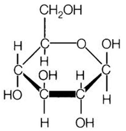 Lab 2e: Variation in Structure and Properties of Carbohydrates ...