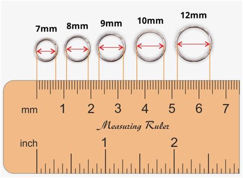 Nose Ring Sizes Chart - Nose Piercing - Free Transparent PNG Download ...