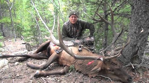 2013 Archery Elk Hunt in Colorado - YouTube