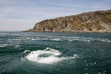 Old Sow Whirlpool | Science and the Sea