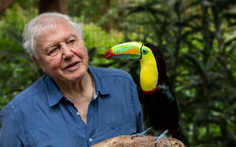 PG mating: David Attenborough explains the birds and bees for young viewers