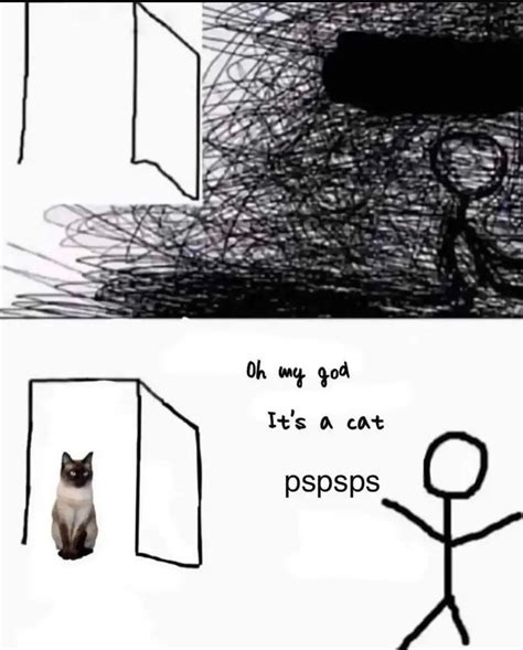 Omg Cat Meme