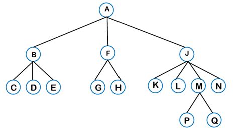 Tree in Data Structures - javatpoint