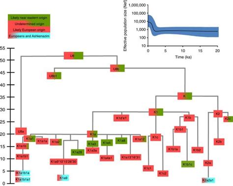 Ashkenazi Jews Trace Maternal Ancestry To Europe Not The Near East, Ancient Jewish Men ‘Married ...