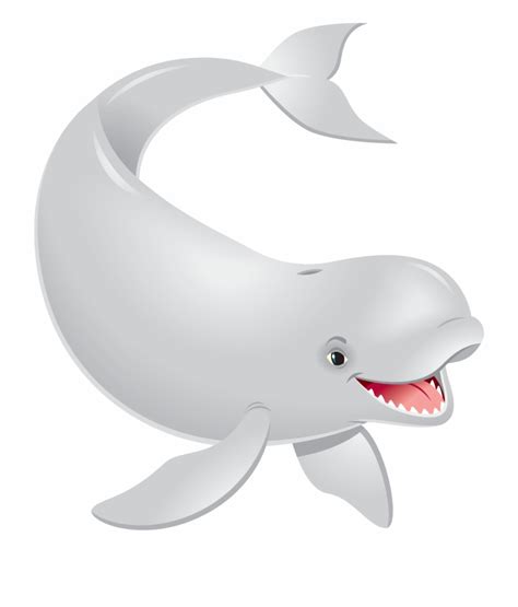 Beluga Whale Transparent Beluga Whale Png - Clip Art Library