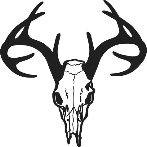 Buck Skull Outline - ClipArt Best