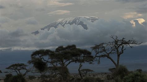 Mt. Kilimanjaro's glacier cap predicted to melt by 2040s from climate ...