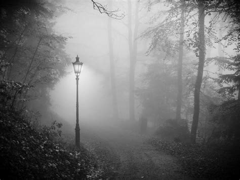 fog-night | Flickr