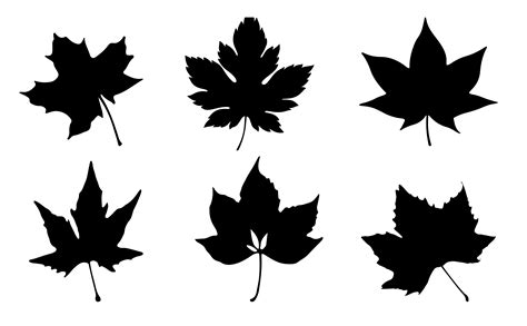 Leaf Silhouette Set Svg Graphic by Graphicswizard · Creative Fabrica