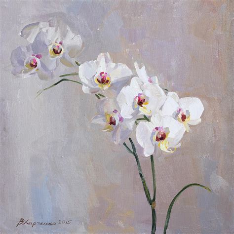 gaeroladid: White Orchid Painting Images