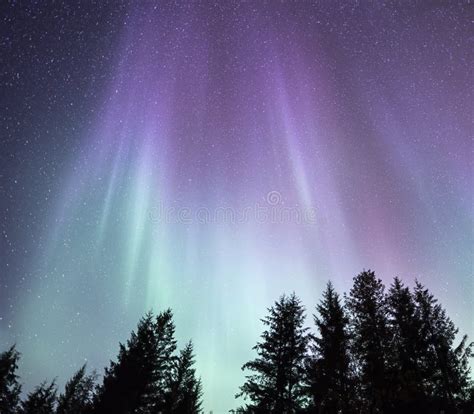 Northern Lights with Purple Stock Image - Image of borealis, northern ...