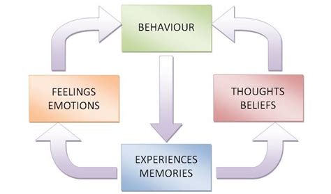 » The behaviour cycle