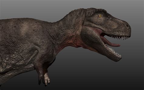 ArtStation - Walking with Dinosaurs - inspired Tyrannosaurus