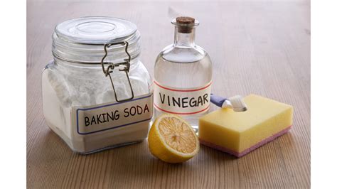 Washing Dog Bed With Vinegar And Baking Soda - Best Pets Beds