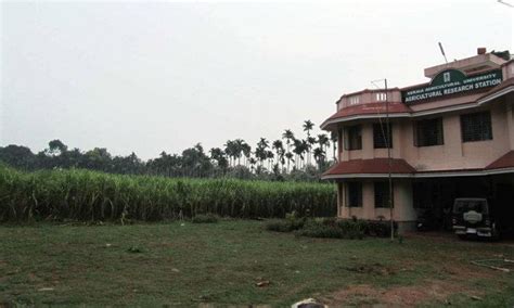 Agricultural Research Station, Kerala Agricultural University