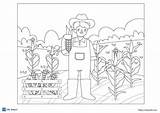 14 Free corn coloring Pages PDF  ESL Vault sketch template